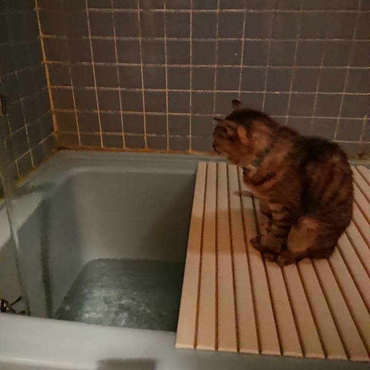 Ee1dcbac 9651 46ea 9e7f 69c6f0c2afbe 1569147197243