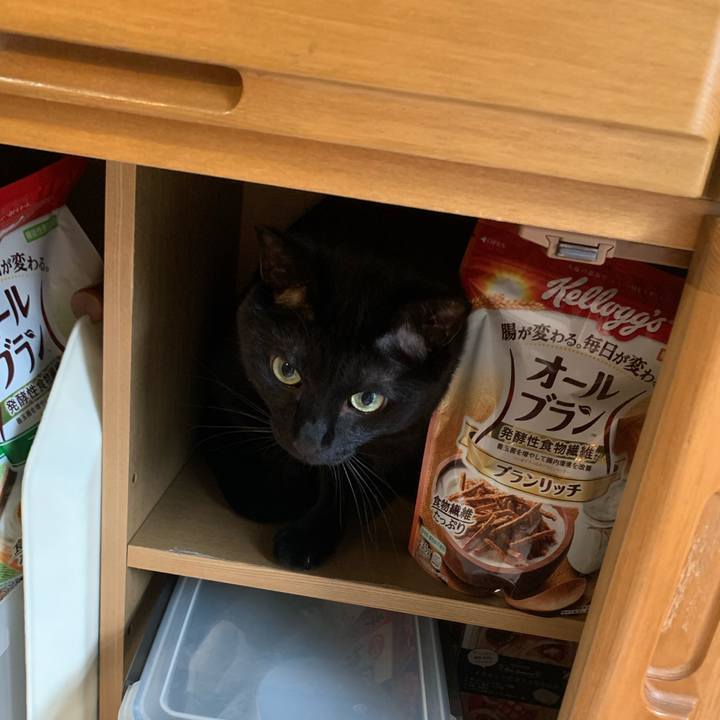 Ee1de4eb 2872 4fb0 97f6 942adddb562f 1658443878508