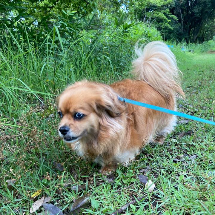 Ee1df91e b5df 4b96 a1cf acbf51de1eb0 1657748502029