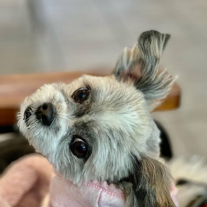 Ee1dfa3d a3f0 4b52 a832 bd3dc3f17709 1646903826712