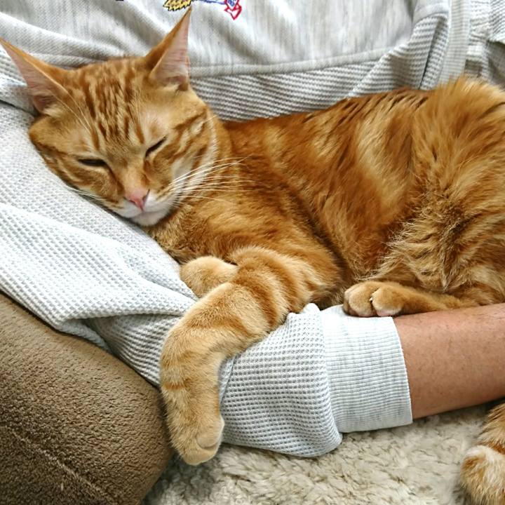 Ee1e0eb8 d210 4a8e a31e f10a7559b3ab 1525733507028