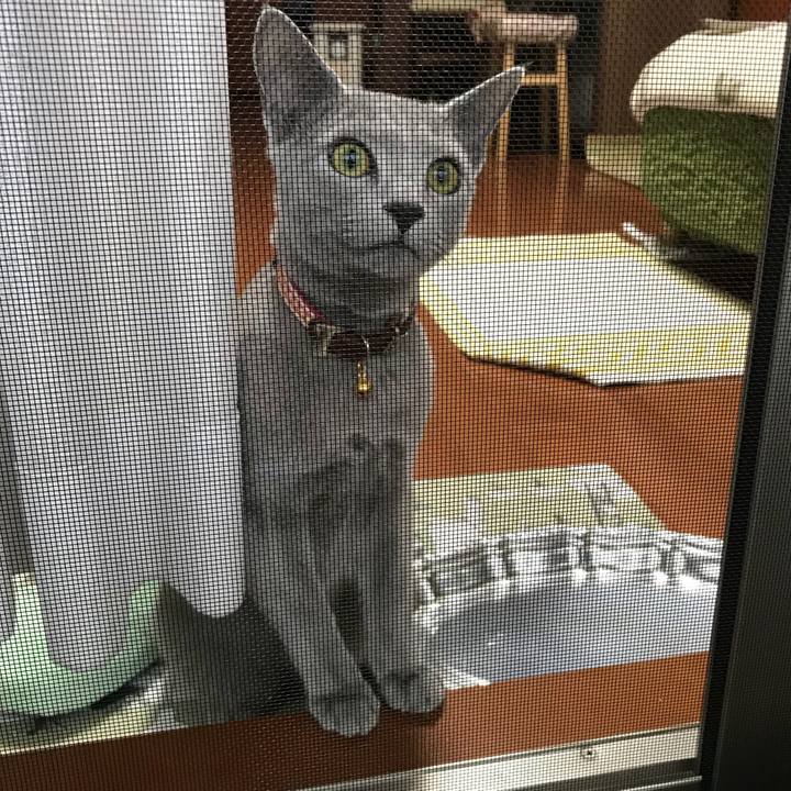 Ee1e1bff 9c8b 47ec 8c3d ec5908477850 1516662439714