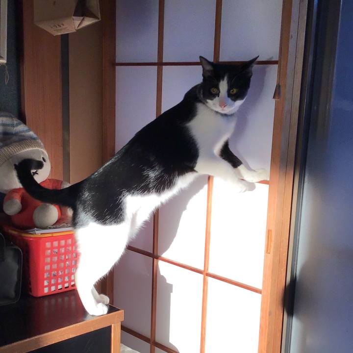 Ee1e60dd 917c 4c40 b345 0b49ebcaaa0d 1642753380029