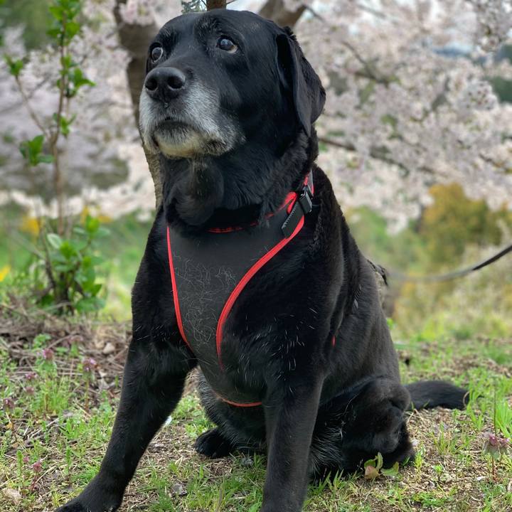 Ee1e629d fc4d 42d5 bd5f 28babfac6300 1585874162773