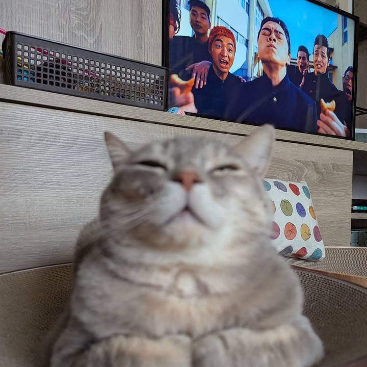 Ee1ec38a e17a 42aa a791 0d3aeadada09 1770088188421