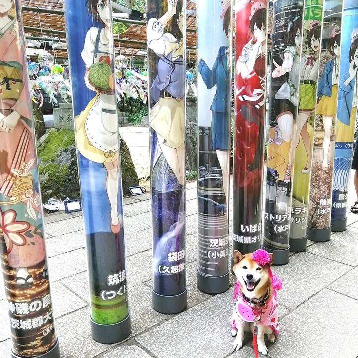 Ee1ec3e2 5cf1 4ba9 a6a4 2844117272e8 1659879804476