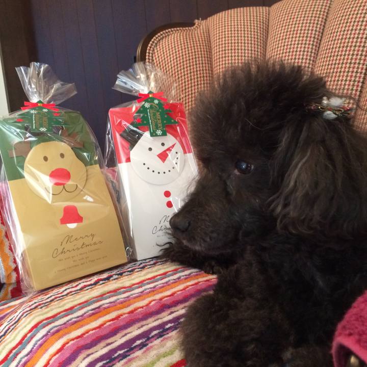 Ee1edd0f cff2 4f44 85b7 dbd2bac669df 1545438076924