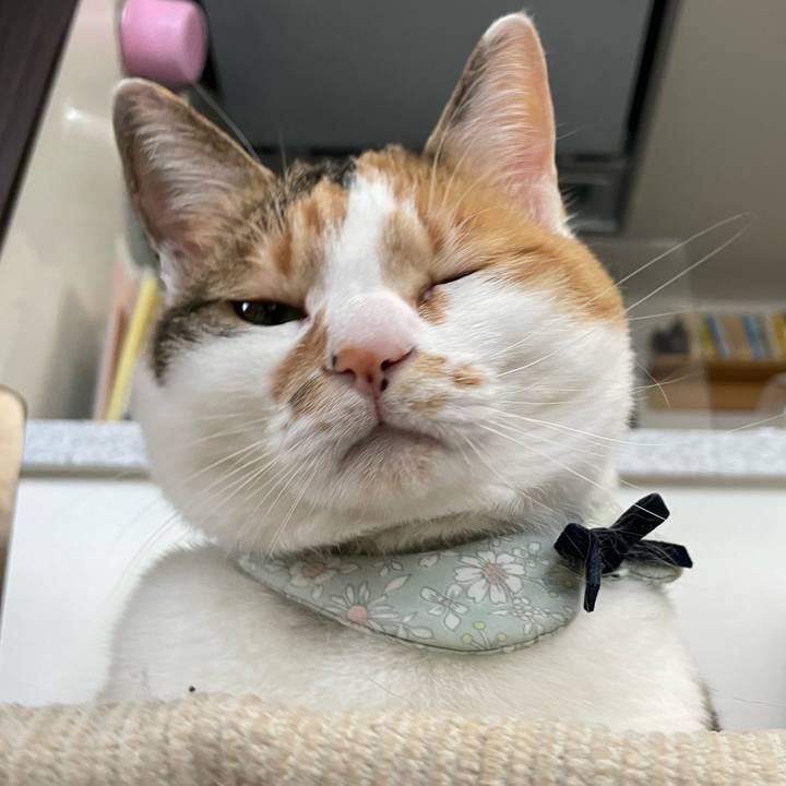 Ee1f0da3 a07d 4735 855e cfb084b3fee1 1682465844616