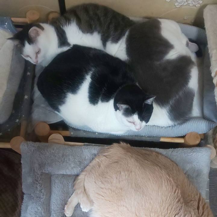 Ee1f3bdb cda0 4480 ac39 29764eb16882 1735361718750