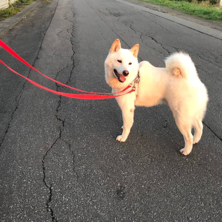 Ee1f41dc 9418 4cf8 92f2 6fe0d8dc0cf5 1537478923297