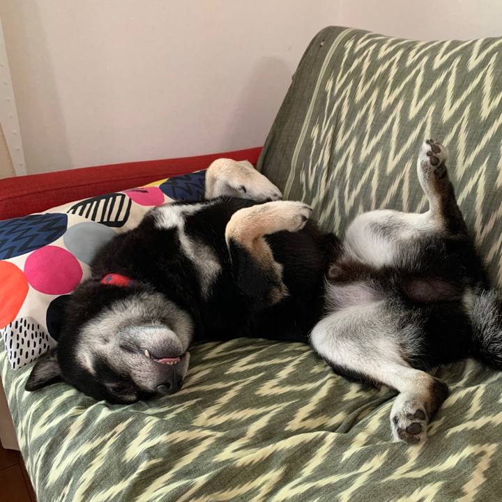 Ee1f65c3 a4ae 4b35 8fdc f3f4698c87a3 1591327315759