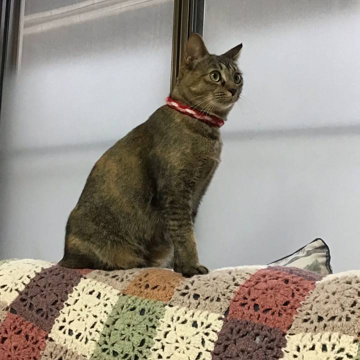 Ee1f6bd0 eef7 437e a29d e82743634b62 1606460844544