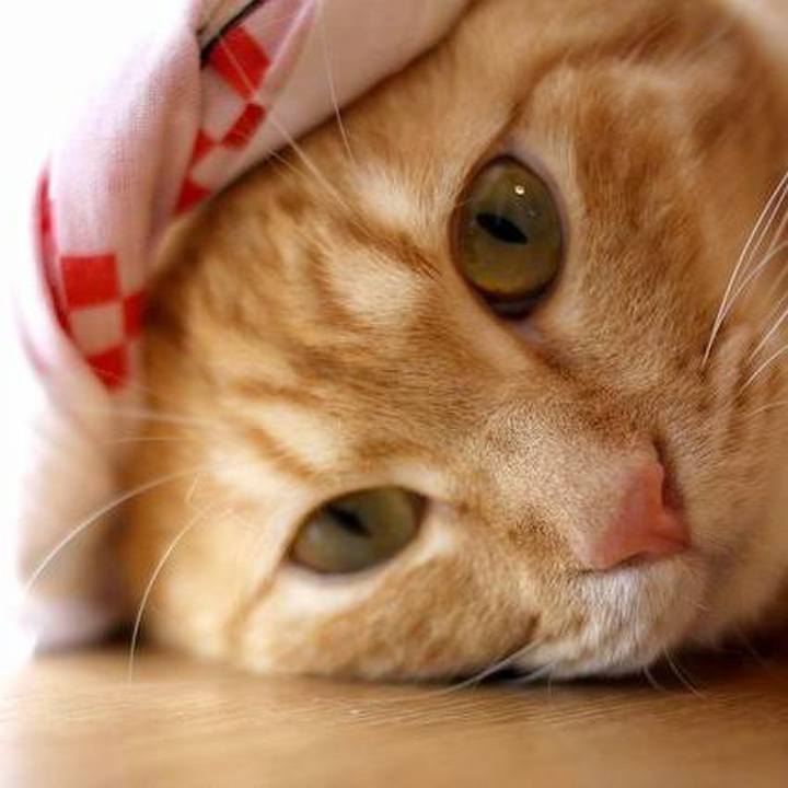 Ee1f6c50 3784 4b43 91fe 16c53cfa63c0 1722323108008