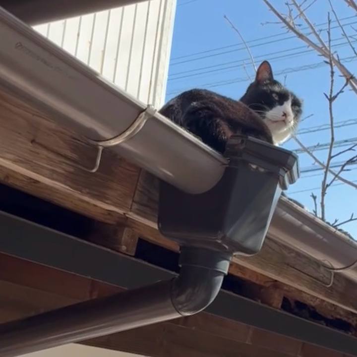 Ee1fd5fa 904d 4a36 a9a1 d6de00cbe924 1768572503757