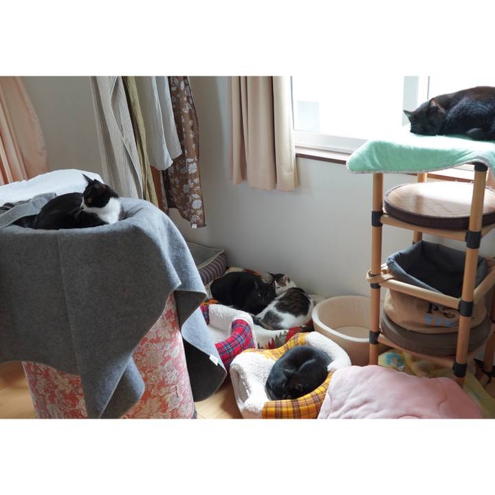 Ee2030b1 a132 46b8 9500 6f6bf46ae5b7 1603078230181