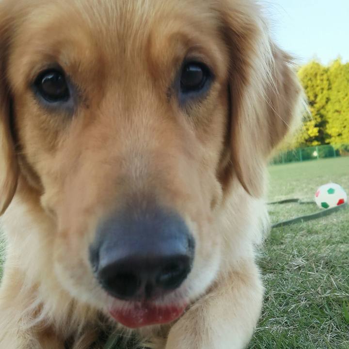 Ee20408d bcca 4203 a906 4b7ffe4b17ab 1509062634494