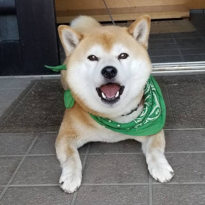 Ee204c12 5733 4683 9e59 45cc9382a779 1558512233595