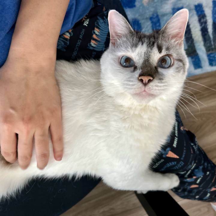 Ee2073bf beff 48b2 ab7b 6b409faf283d 1722813529501