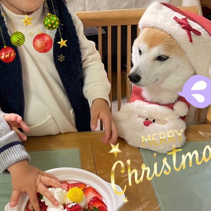 Ee2085a1 a824 48fe 84e1 da56222abca2 1671936585784