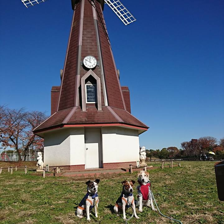 Ee20ff21 02ea 471e 9601 25b087c10a0c 1575449182941