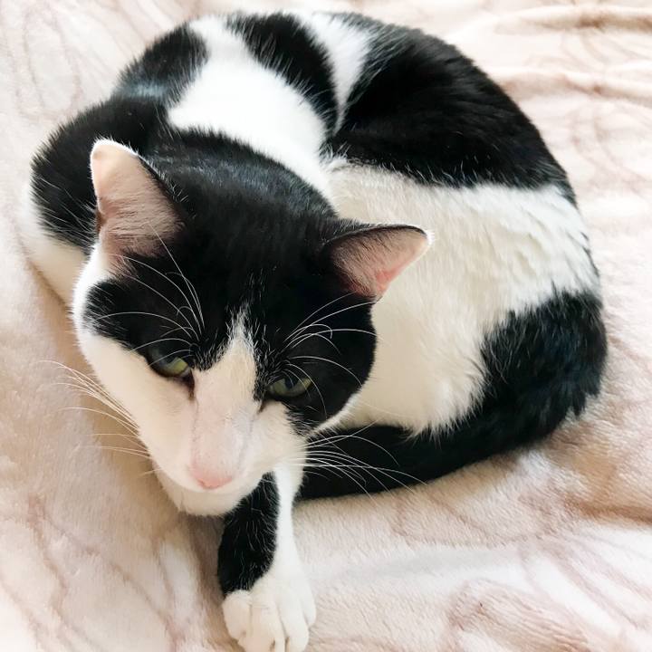 Ee212d9e 38f5 480f 905d c86513f6e6cc 1518443273110