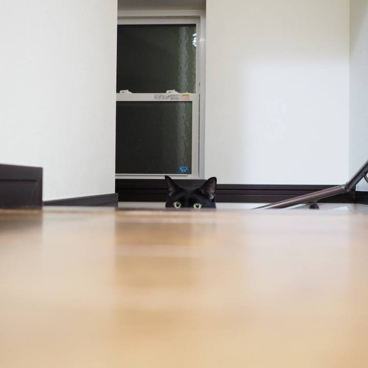 Ee214b54 c41b 4235 ad97 9d8ed5ff2f63 1534685604347