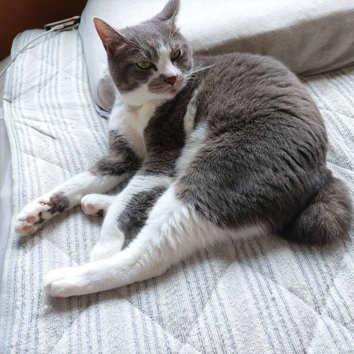 Ee217901 2462 44c4 b216 31ad72c1a4e1 1721259540314