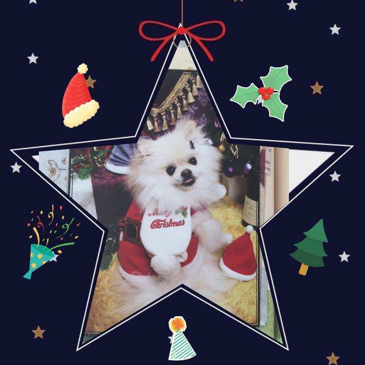 Ee218730 1bf7 451c b820 8c83ef40f351 1575258082315