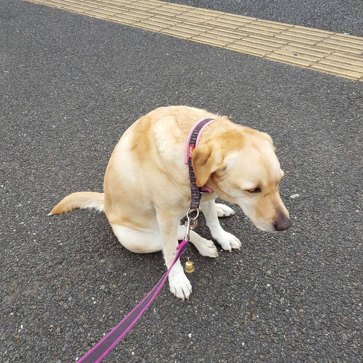 Ee21c7b3 8609 402c 98b9 184bd0823e97 1519190029540