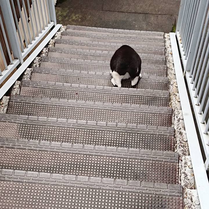 Ee21cd19 e085 4882 b81b 3b037c25392c 1665367633490