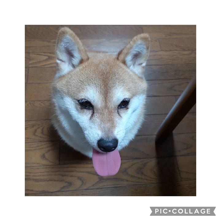 Ee21d18a 1dbc 413b a7b9 ccec6f0cbc16 1757933131545