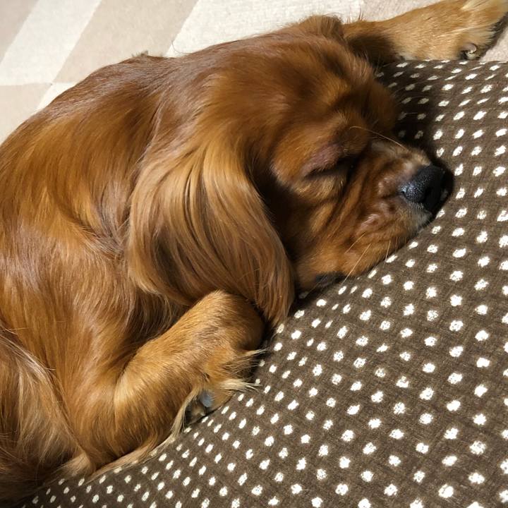 Ee221bca 19f3 4d10 9354 7ff443b0538c 1569277460368