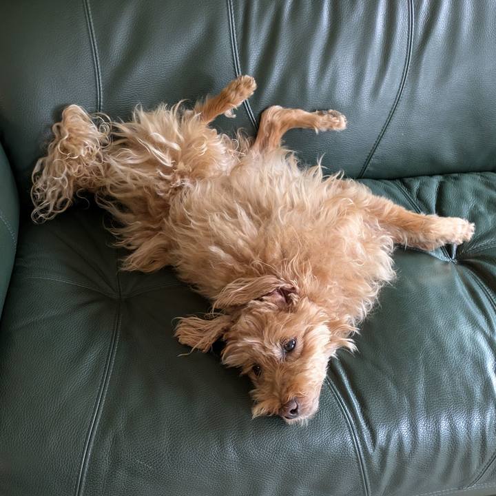 Ee2232b7 8871 4dc6 8d96 f163dd3477c1 1722470317575