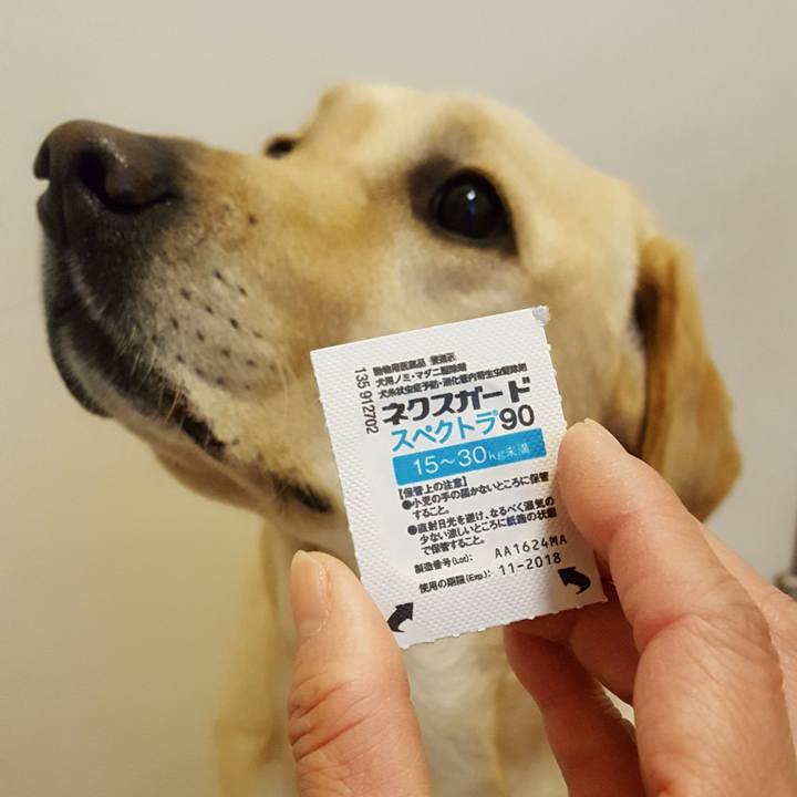 Ee2249e6 f57f 4cda b21f 2590113e2a94 1512094505245