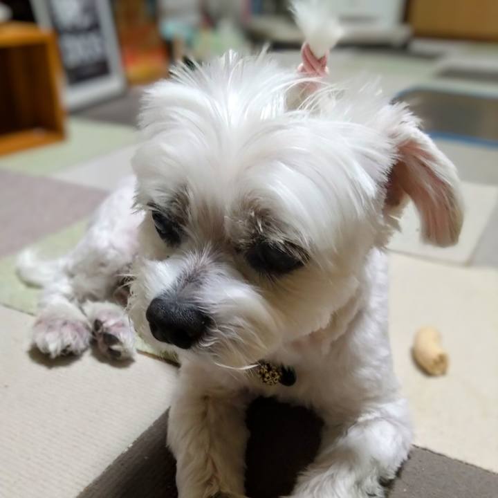 Ee22653c a369 4b0a a7b8 036166141a28 1751372873315