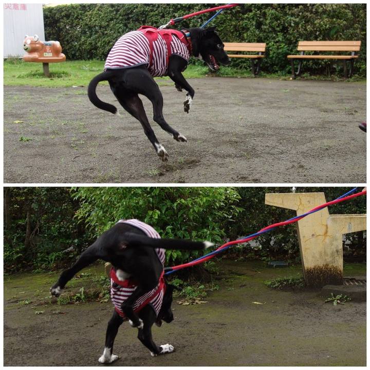 Ee2274a2 94e4 4362 a0b6 63bb12ea60da 1594512919994