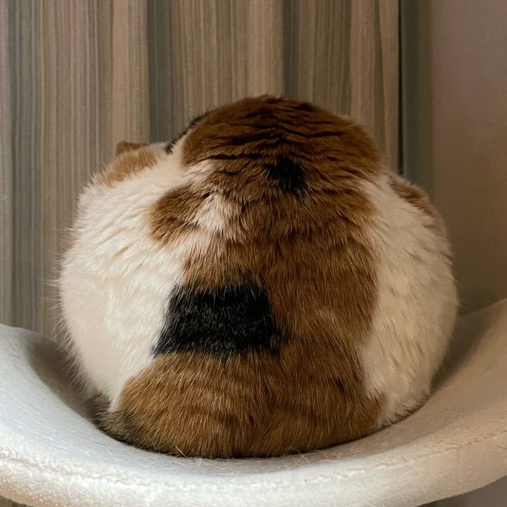 Ee229e80 f9e0 4119 a64b 1c8dff99a845 1739888405204