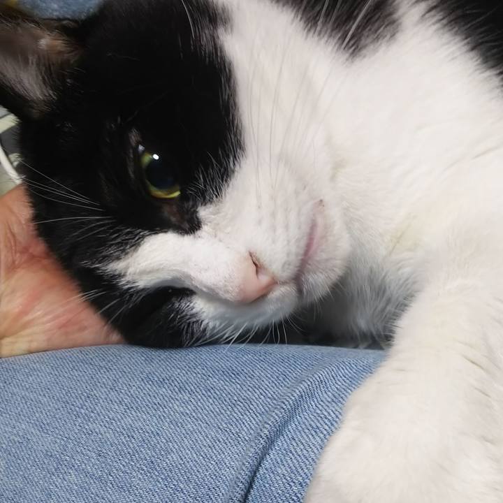 Ee22a263 801b 4b50 8824 1af3b02e4c1a 1573868907416