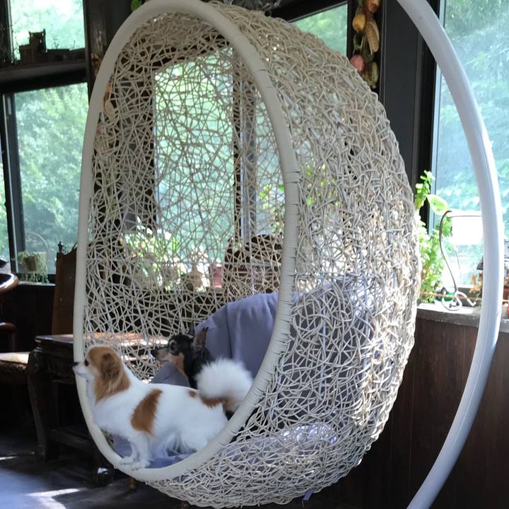 Ee22ce73 40c6 48a7 a20c 9df2295ac312 1534853442808