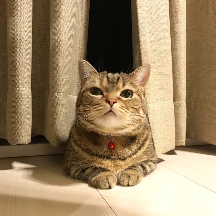 Ee22d51a 77c3 4dc3 ab8b 924aeb0ef351 1522753547018