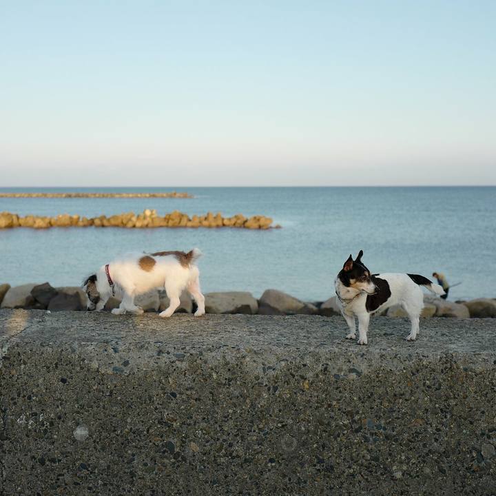 Ee22dc12 a31e 442e 8258 8638fea58e95 1543289948900