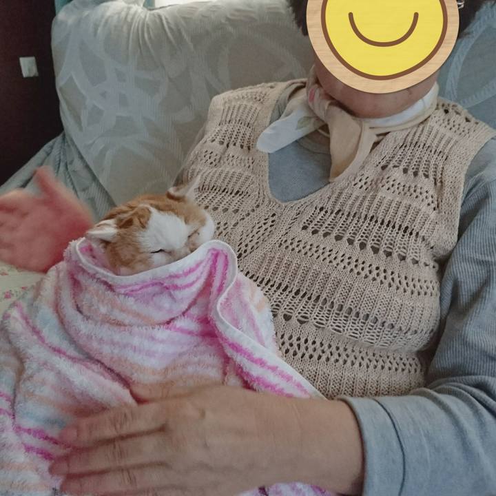 Ee22f7e7 a540 4cc7 99cc 6167b9331d23 1663716129416