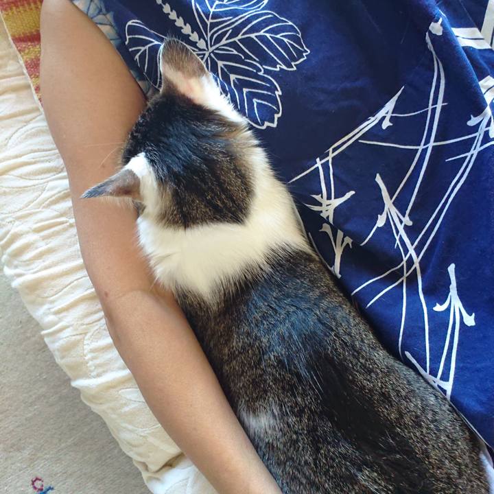 Ee22f91a 783a 411f a290 7b2373fece6b 1630042300364