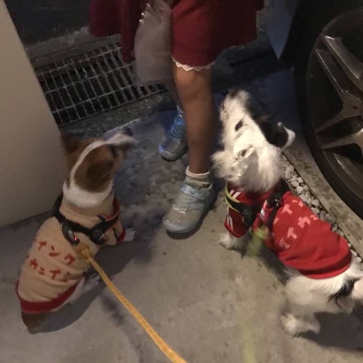 Ee234ca5 fb3d 4583 b015 9692738a0a97 1542011688285