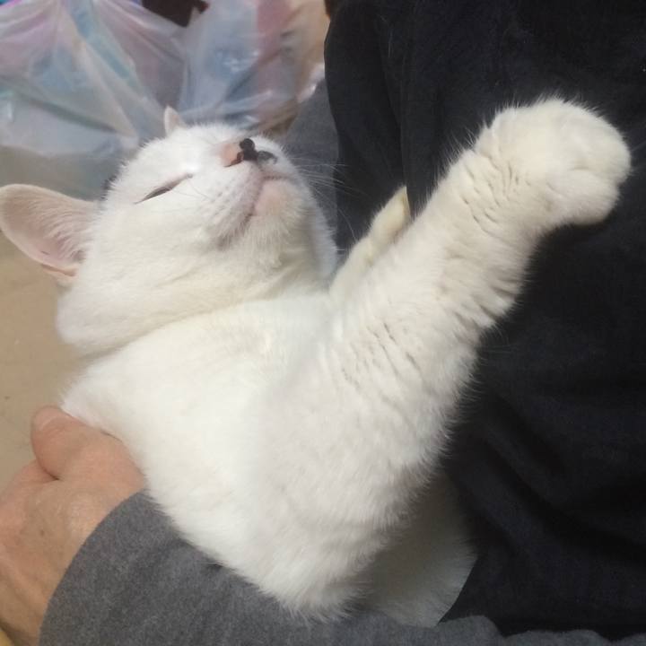 Ee236007 80be 4c59 a12a 64749b373a61 1543580333603