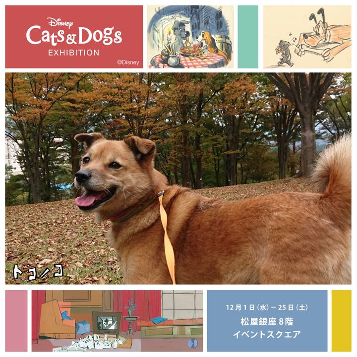 Ee2395f3 4470 40fe 9894 5335cdb178b7 1638366033757