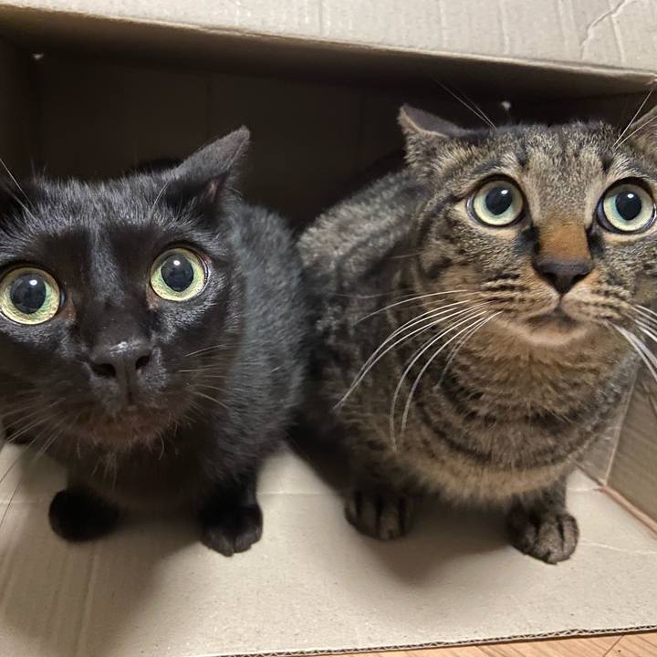 Ee239b40 8963 40ad 844b 56901fb38f8d 1683888811223