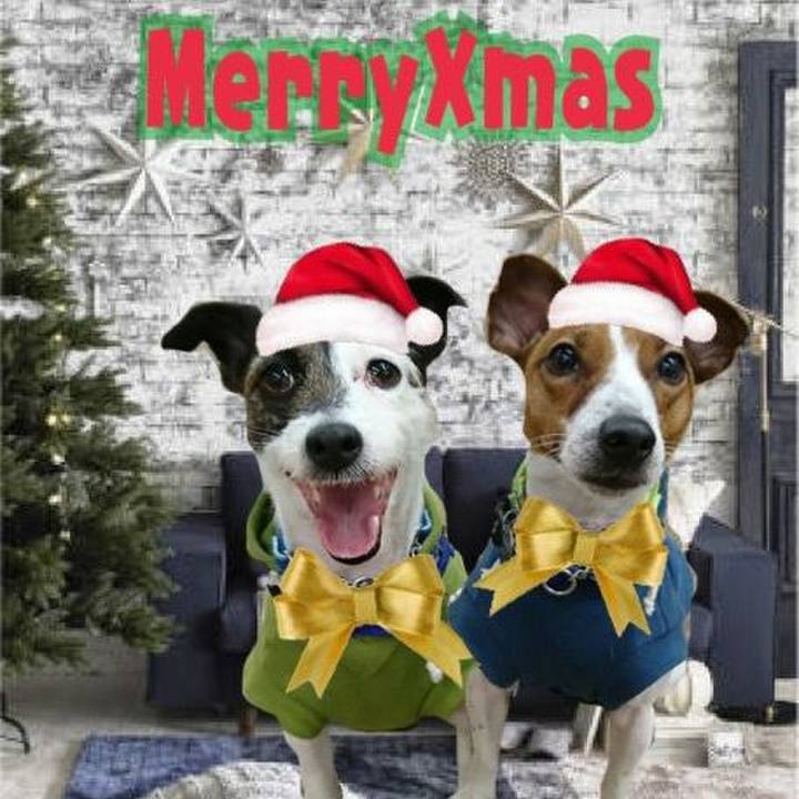 Ee23b4fd 2af6 4462 a1ab 2a5944eca611 1577183963021