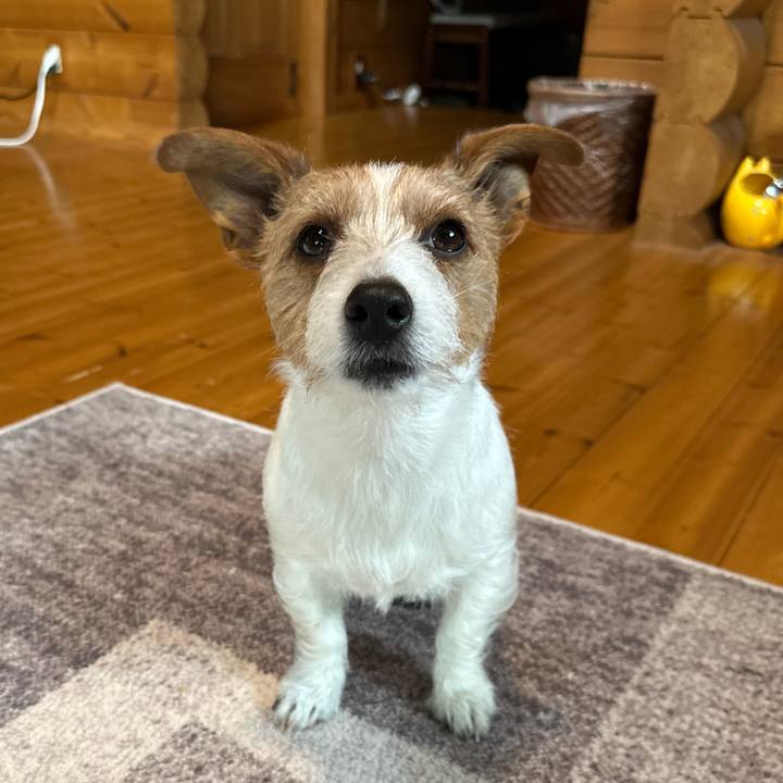 Ee23d587 ab60 4335 ae95 3383788c1c3b 1773968140577