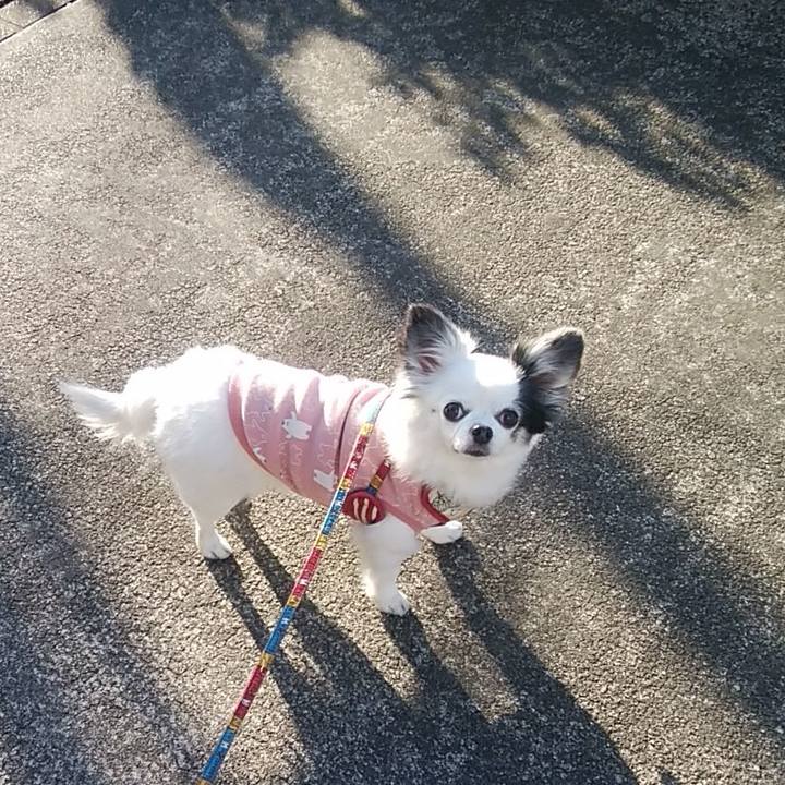 Ee23e2fe aadf 46dc b0b6 0e9402787f73 1577591734076